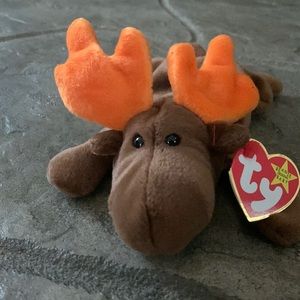 Chocolate moose 2nd generation beanie baby very rare